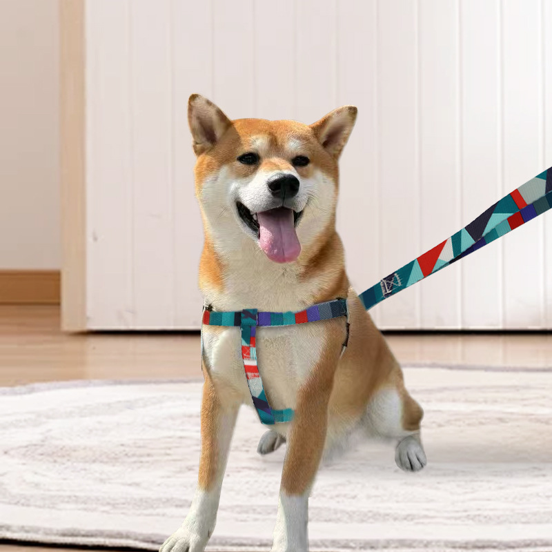 Correa para el pecho, correa de perforación a prueba de explosiones, cuerda para pasear al perro, Teddy Corgi Golden Retriever, productos para mascotas para perros pequeños y medianos al por mayor