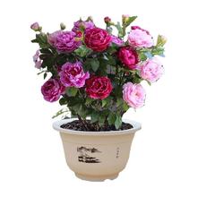 羳؛ذĵNꖼtĵNļͥԺ̨