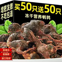 Лиофилизированные перепелиные кошачьи закуски для котят, питательная добавка кальция, палочки для прорезывания зубов, кошачьи закуски, корм для кошек из сырых костей и мяса, Ли Чжи