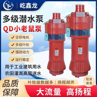 QD�༉��ˮ��380V�ߓP���ͽ�С�����������������220V��ˮ��