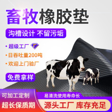 ţ����l�y���|���l �i�б������z�|������ĥ ţ���������z�؉|