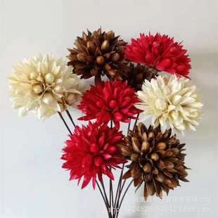 [Magnolia ball] combination fruit shell dried flower thousand tongue Magnolia wholesale club home soft art flower bouquet