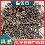 中药材猫须草 猫须公 降酸草 不老草 肾茶  各种冷背奇代发