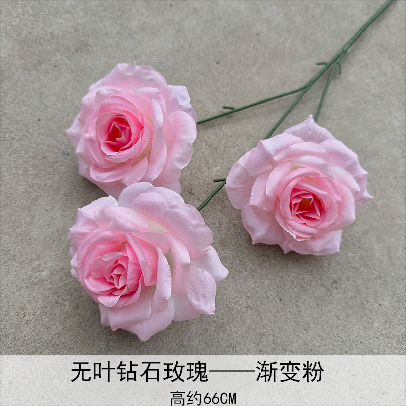 Rose Gradient Powder de diamante sin hoja