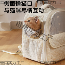 ؈����̫��œ؈�������y����؈�乷���p��y���������ֵ������