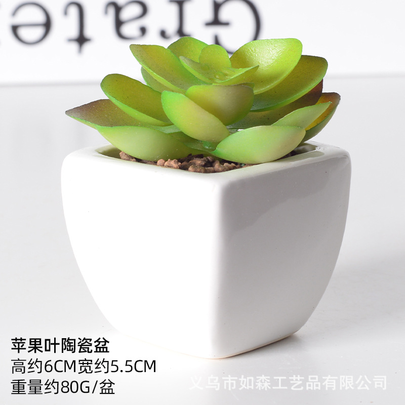Simulación de cerámica bonsai de carne doméstica decoración de escritorio de oficina plantación verde maceta props de disparo maceta combinada artificial image 27