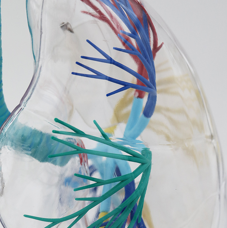 O1CN019Ck30k2Kk6Xv3y5lG_!!3578