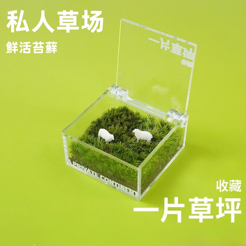 怠け者芝生コケ微景観デスクトップオフィス創意緑植置物diyプレゼント卒業シーズンプレゼント|undefined
