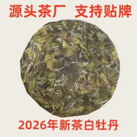白茶