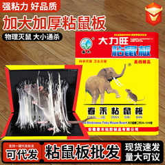 春禾大力旺老鼠贴加厚强力胶家用除味神器批发