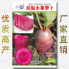 Pineapple fruit radish seeds about 300 red -skinned red heart red meat crispy sweet fruit radish seed seeds