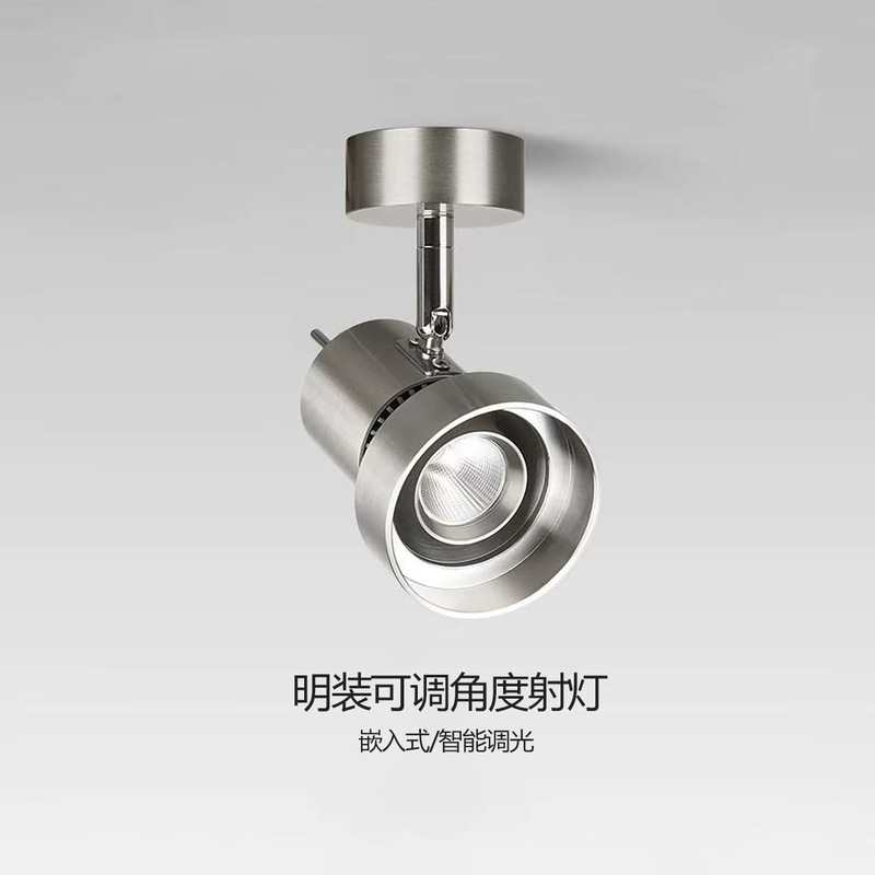 Bauhaus Recessed Spotlights with Adjustable Angle for Entryway, Hallway, Living Room, Eye-Friendly, Vintage Stainless Steel, Silver, No Main Light Bauhaus Recessed Spotlights with Adjustable Angle for Entryway, Hallway, Living Room, Eye-Friendly, Vintage Stainless Steel, Silver, No Main Light