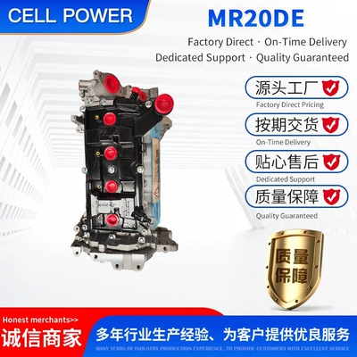 T31, Qashqai J10, Sylphy – Engine assembly