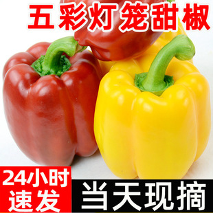 �ʽ����rˮ���������߲������߲ʽ���ʟ��\�tС�׽��A���߲���