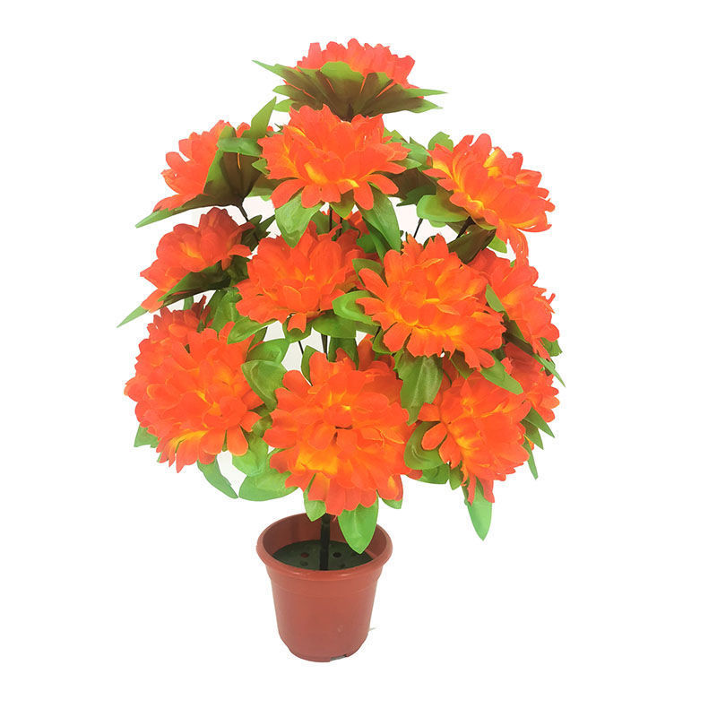 18-head chrysanthemum with leaves (sunset) 1 branch - 1 branch + flowerpot quality choice
