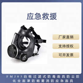 FMJ05自吸过滤式防毒面具防尘防化全面罩防烟雾消防应急面具