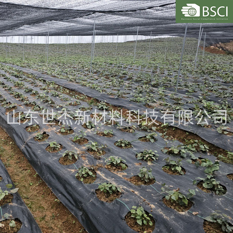 防草布黑色加厚防老化地布园艺果树除草布遮草布厂家直销抗老化