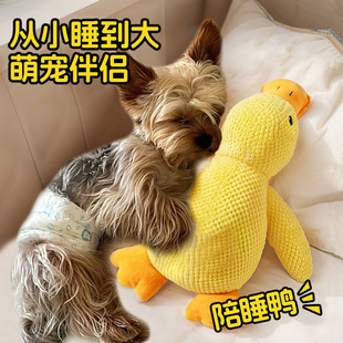 �s���Č���ë�q�l��߹�����˯����ҧĥ�����˽␞������Ʒ��ȫ