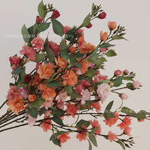 ����2��ɽ�軨 INS�L���滨�ٻ��Ҿ��b羳��c���l�ٻ�