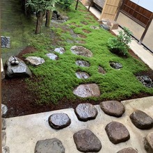 �G�ز�ƺ�_̤ʯ�@�ֹ��@͡��ʯ����ͥԺ�b��Ļ�ʯ����·������