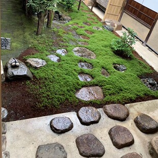 �G�ز�ƺ�_̤ʯ�@�ֹ��@͡��ʯ����ͥԺ�b��Ļ�ʯ����·������