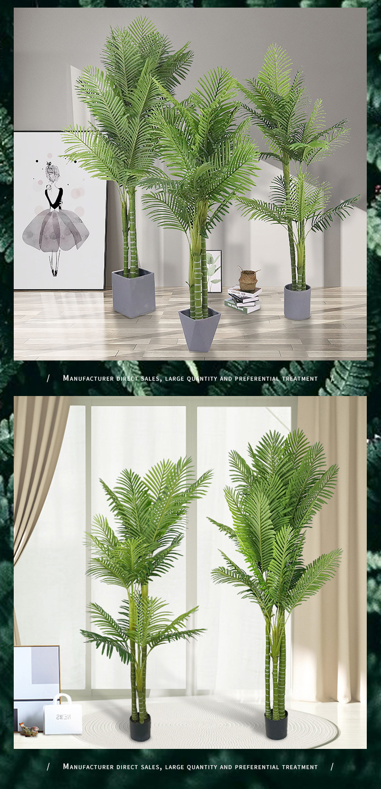 棕榈树详情1_07.jpg