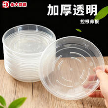 批发加厚树脂花盆托盘塑料透明移动接水盘底座家用加仑盆托盘