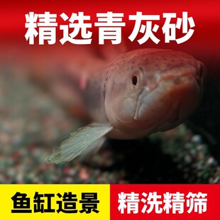 ������ɳ����ɳ��tɳƫ������ɳ��Ҽtɳ��������ԭ���~���쾰ɳ