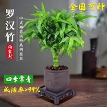 ����������Ϙ��Gֲ�辰�_�h����С�~�����^�p�����������ͺ�ֲ��