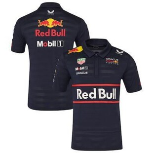 2025 New Short-sleeved POLO Shirt F1 Team Clothes Quick-drying Breathable Summer Cycling Shirt Men's Work Car Clothes T-shirt