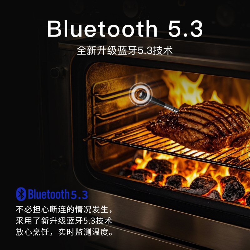 メーカー スマート Bluetooth キッチン デュアル プローブ バーベキュー温度計ワイヤレス APP 食品オーブン焼き肉温度計|undefined