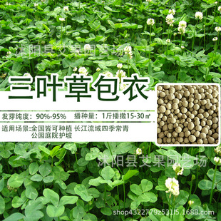 ���l�t���~�ݷN�ѹ����ļ��÷N�׻��o�¾G���t�����~�ݷN�����~��