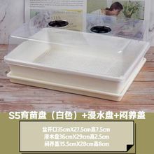 白色多肉育苗盘带盖加厚叶插播种器育苗托盘带盖透明盆黑方闷养箱
