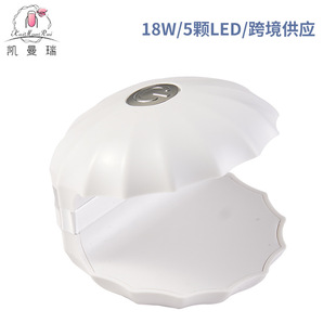 Manicure Lamp Mini Shell Nail Lamp Nail Polish Glue Handheld Phototherapy Lamp Popular Same Style Portable Manicure Baking Lamp