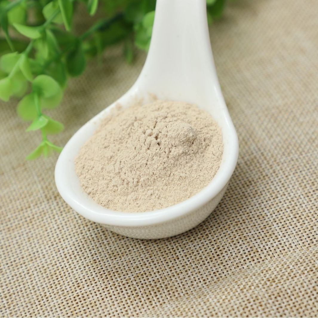 牛蒡粉 蔬菜粉 香辛料 烧烤蘸料佐料 烘焙膨化食品调味辅料
