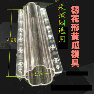 Plum-shaped cucumber shaping plastic mold fruit and vegetable growth ginseng fruit gourd fan picking garden Agricultural