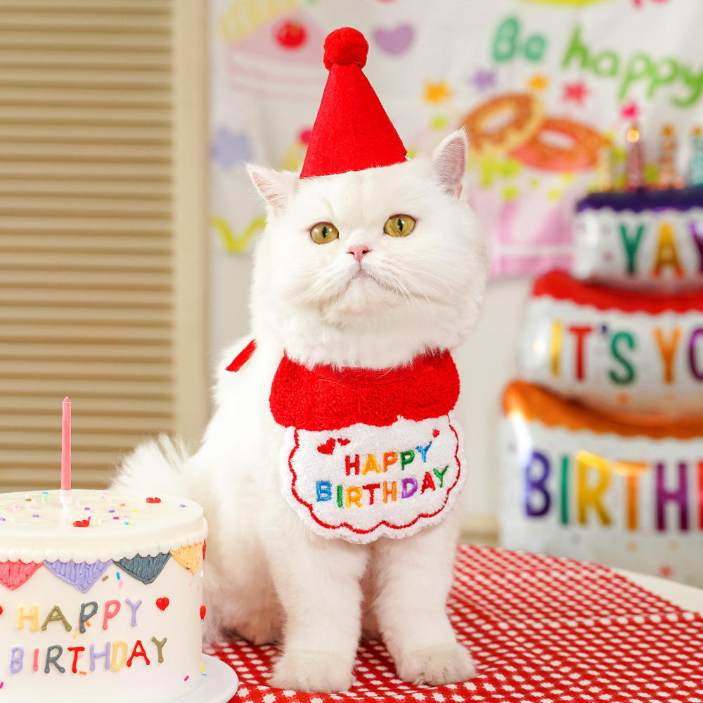 跨境宠物围兜围巾狗狗猫咪生日帽装扮派对装饰用品口水巾宠物帽子