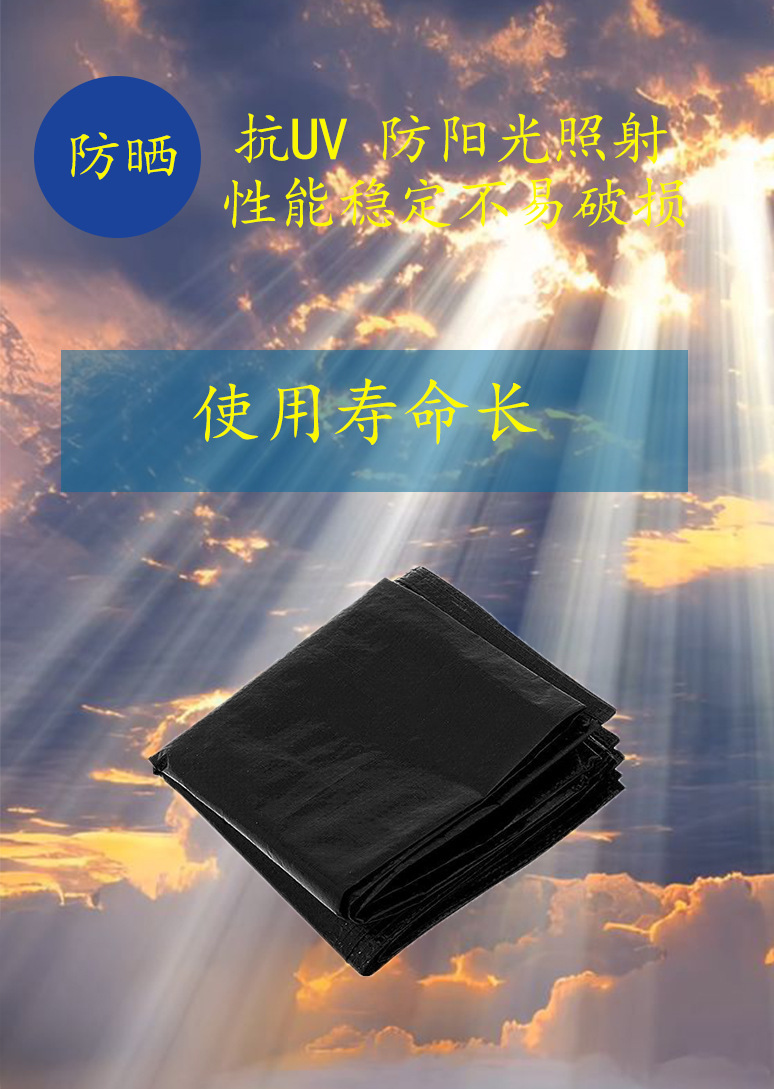 防晒产品性能2-恢复的