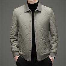 男士翻领桑蚕丝夹克外套秋冬商务轻奢时尚外套2025保暖休闲薄棉衣