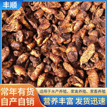 rϼQӼ QӼϵ ˸箋üBBZQӼ