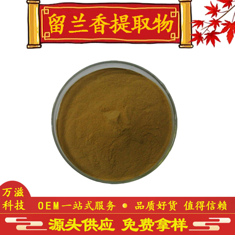 留兰香提取物 10:1 20:1 30:1 留兰香叶提取 留兰香粉 现货供应