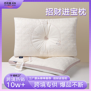 High-End Gift Pillow Positioning Anti-Arch Traction Pillow Household Adult Sleep Aid Neck Pillow Core Factory Direct Sale