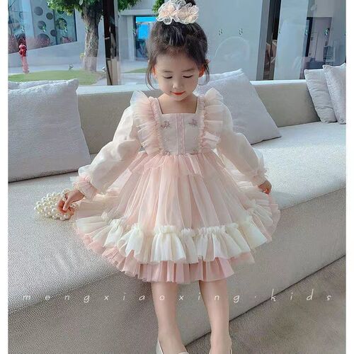Girls' dresses autumn 2024 new children's spring and autumn styles big children and little girls trendy long-sleeved princess skirts