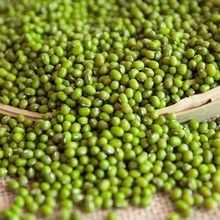 净重新货东北农家绿豆新绿豆绿豆粥解暑绿豆汤笨绿豆发豆芽绿豆糕