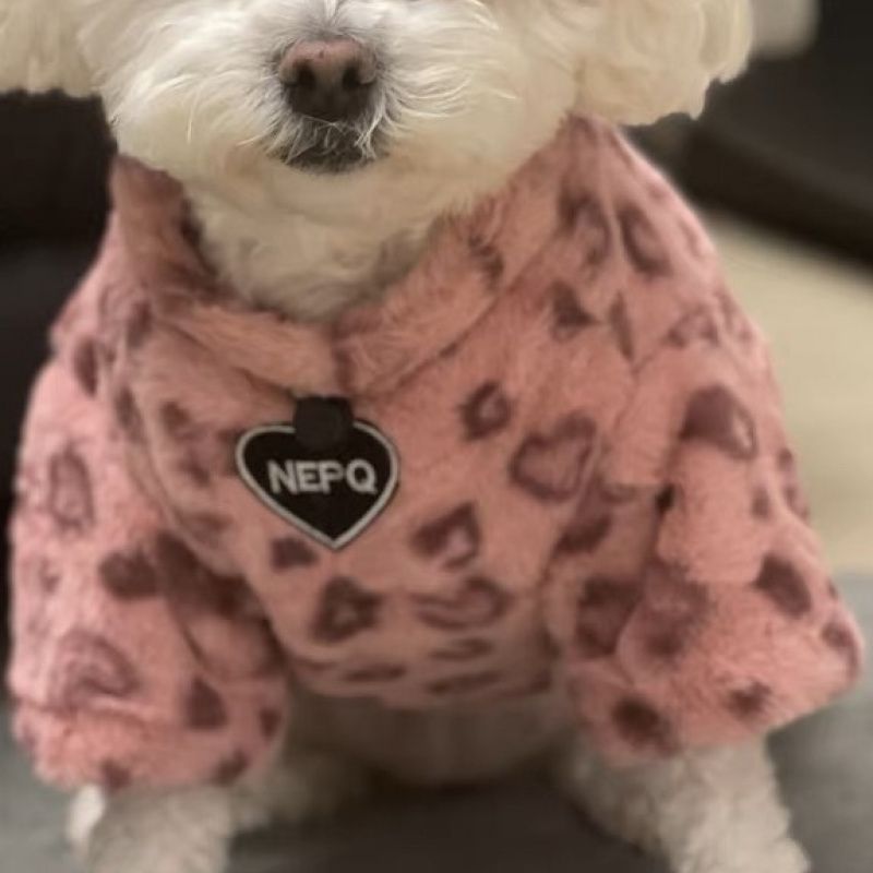 핑크 레오파드 프린트  겨울 두꺼운 봉제 애완 동물 보온 스웨트 셔츠 고양이와 강아지 비숑 테디 코튼 코트