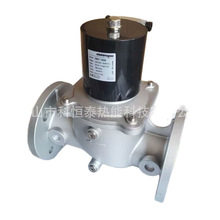 VMR8-Rp3 DN80 ���R��˹elektrogas ȼ��늴��y �S��ֱ�N