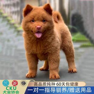 ���N��tȮ����Ȯ���w������t���CȮ�o�lȮ��Ȯ��@Ȯ����С��