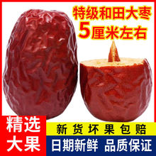 新疆六星特级红枣整箱新枣一级和田大枣500g免洗骏枣零食干果枣子