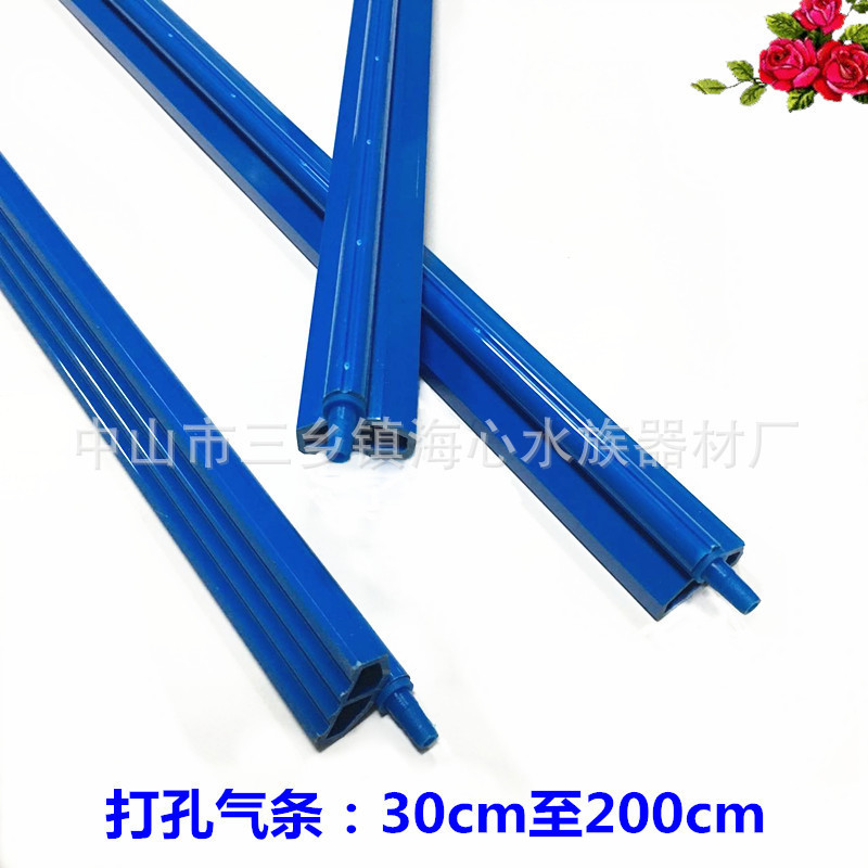 5198369572_1518360834