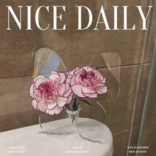 家居ins北欧塑料蝴蝶花瓶客厅仿真花瓶摆件创意简约小清新插花瓶